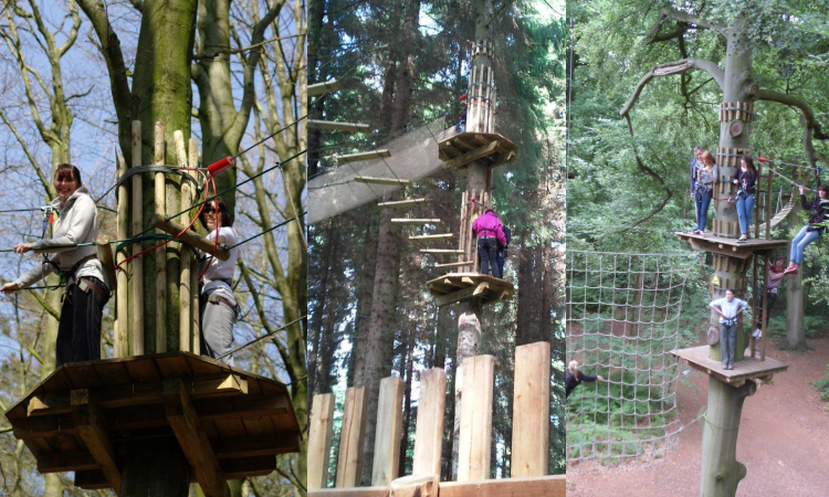 Go Ape: Şehrin içinde, ağaçların üstünde bir orman macerası