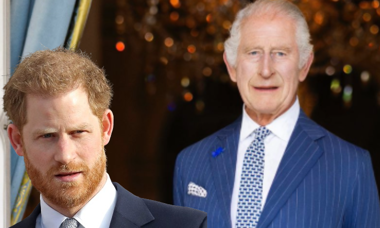 Kral ve Harry, taç giyme töreninden bu yana ilk kez görüştü