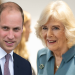 Kral Charles’ın kamu görevleri için Camilla ve Prens William devrede