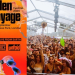 Maiden Voyage Festivali, Burgess Park’a taşınıyor