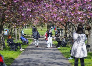 Londra’da bahar yüzünü göstermeye başladı, parklar coştu