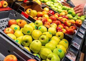 Brexit sınır kontrolleri, kaliteli gıda ithalatını engelleyebilir