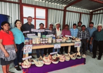 Birleşik Krallık projesi, Orta Amerika’daki tarımsal üretime destek sunacak