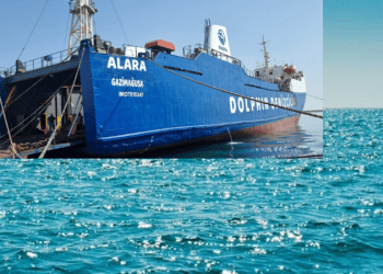 Dolphin Denizcilik: Deniz taşımacılığında yeni bir dönem başlattı