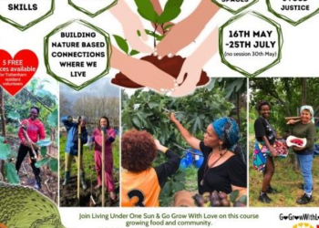 Haringey’de kadınlar ve kız çocukları için bahçecilik kursları