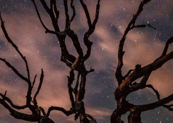 Merkür aslan burcunda