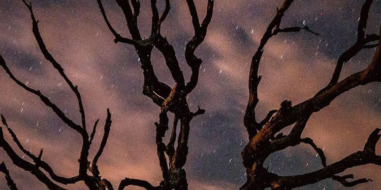 Merkür aslan burcunda