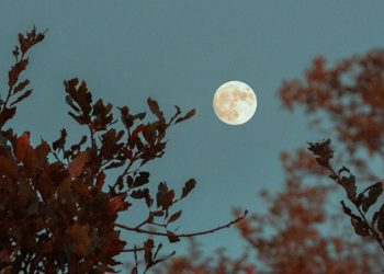 Oğlak burcunda dolunay