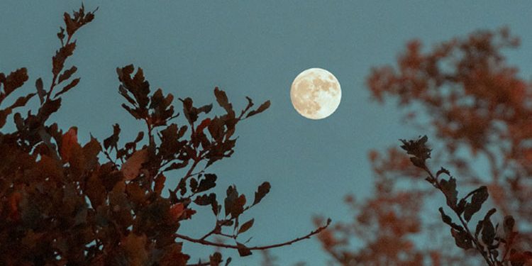 Oğlak burcunda dolunay