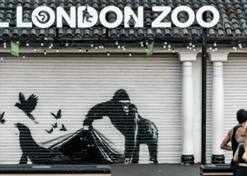 Londra’nın en son yeni Banksy’si ortaya çıktı; bir goril