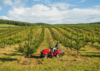 Arazi sahipleri yeşil kuşak alanları için ‘zorunlu indirim’ fiyatlarıyla karşı karşıya
