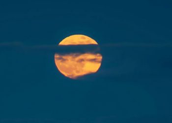 Arsenal, Mikel Arteta için kararını verdi: 3 yıllık yeni sözleşme