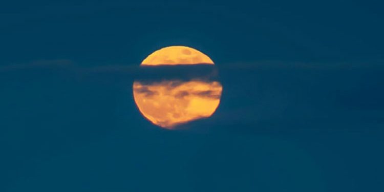 Arsenal, Mikel Arteta için kararını verdi: 3 yıllık yeni sözleşme