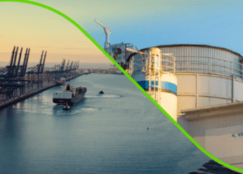 Maliye Bakanı, beş yeni serbest limanın duyurusunu yapacak