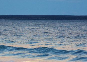 Liverpool, Jarell Quansah ile yeni sözleşme imzaladı!