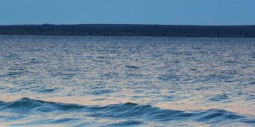 Liverpool, Jarell Quansah ile yeni sözleşme imzaladı!