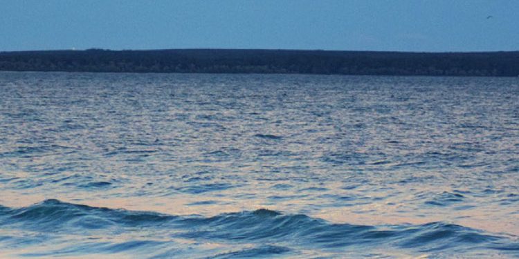 Liverpool, Jarell Quansah ile yeni sözleşme imzaladı!