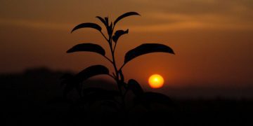 Arsenal, sahasında Shakhtar Donetsk’i 1- 0 mağlup etti