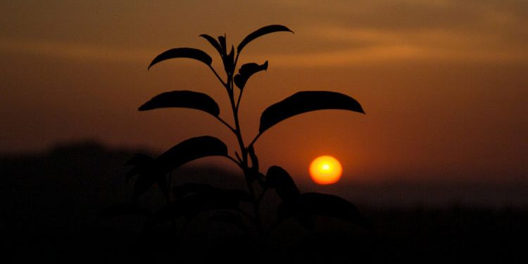 Arsenal, sahasında Shakhtar Donetsk’i 1- 0 mağlup etti