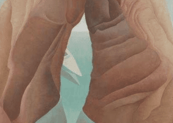 Tate, Ithell Colquhoun’un ilk büyük sergisini açıyor