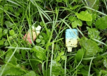 Tek kullanımlık elektronik sigaraların satışı 1 Haziran itibariyle yasaklanıyor