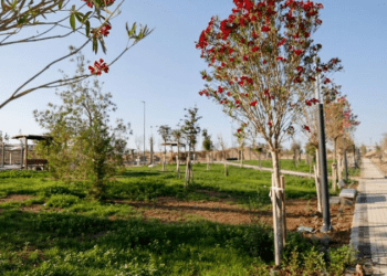 “Lefkoşa’da sosyal aktivitelere ev sahipliği yapacak park, çevreye katkıda bulunacak”