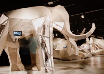 “Zor bir sezon geçirdik ve standartlarımızın altında kaldık”