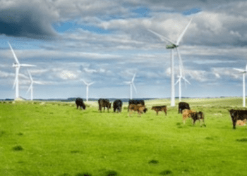 UK international risk status for BSE downgraded in huge boost to farm sector