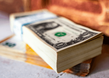 Dollar steady as markets weigh tariffs risks and await Fed minutes