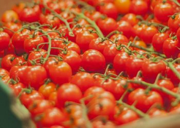 Kadın futbol tarihinin en pahalı transferi; 1 milyon sterlin