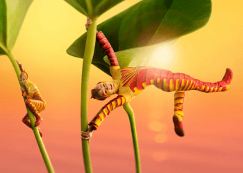 Gösteri topluluğu Cirque du Soleil, ‘OVO’ ile Royal Albert Hall’a dönüyor