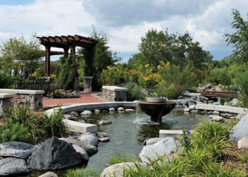 Premier Lig’de şike iddiası