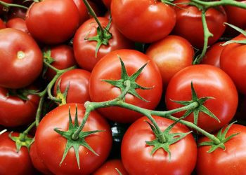 Vitor Pereira, Premier Lig’de kabusu yaşıyor