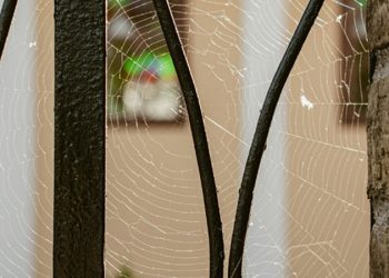 Vitor Pereira ile 3 yıllık yeni sözleşme imzaladı