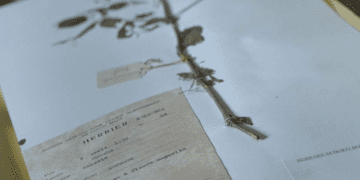 Sammy Baloji’den çarpıcı film: Sömürge mirası ve iklim krizi