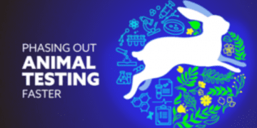 Animal testing to be phased out faster as UK unveils roadmap for alternative methods
