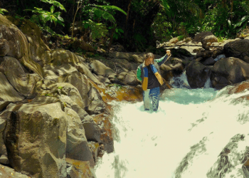 Louis VI’nın “Nature Ain’t a Luxury” deneyimi, 6–7’ta Aralık, Barbican’da