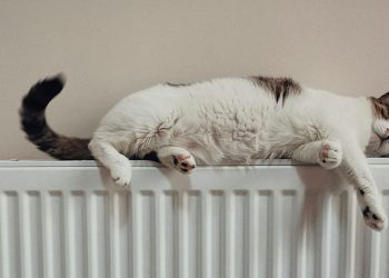 ‘Yeni Kroos’ Man United yolunda