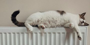 ‘Yeni Kroos’ Man United yolunda