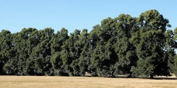 Kadıoğlu’ndan büyük başarı! Maça damga vurdu