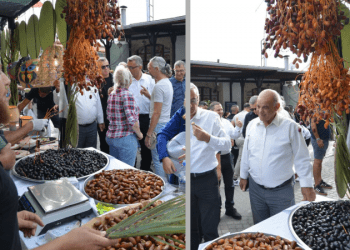 Lefke Hurma Festivali’nde Büyük Coşku: Binlerce Kişi Lefke’de Buluştu