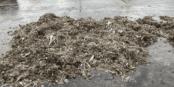 New law bans plastic wet wipes to protect rivers and seas