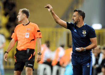 Wolverhampton’da, Rob Edwards göreve getirildi