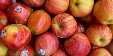 Arsenal, Şampiyonlar Ligi’nde 6/6 yaptı