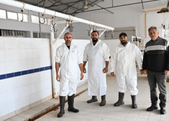 Lefke Belediyesi’nden şap hastalığına karşı sıkı denetim