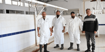 Lefke Belediyesi’nden şap hastalığına karşı sıkı denetim