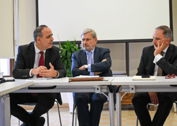 “AB Mali Yardım Programı sadece bir enstrümandır, AB’nin görevi daha büyük ”