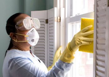 Londra Meclisi, ‘ev işçisi’ vizelerinde reform çağrısı yaptı