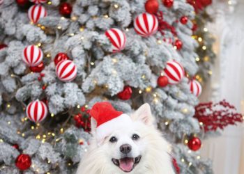 Salah’ın yerine gelecek isim belli oldu