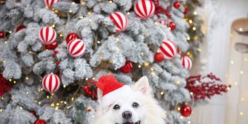 Salah’ın yerine gelecek isim belli oldu